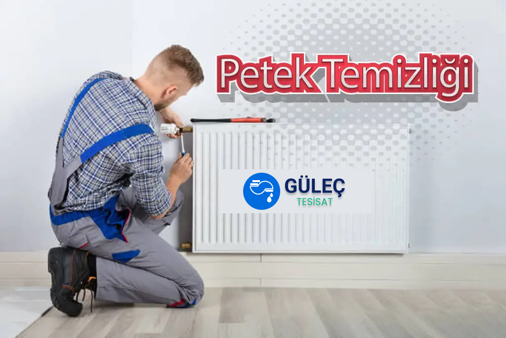 Petek Temizleme